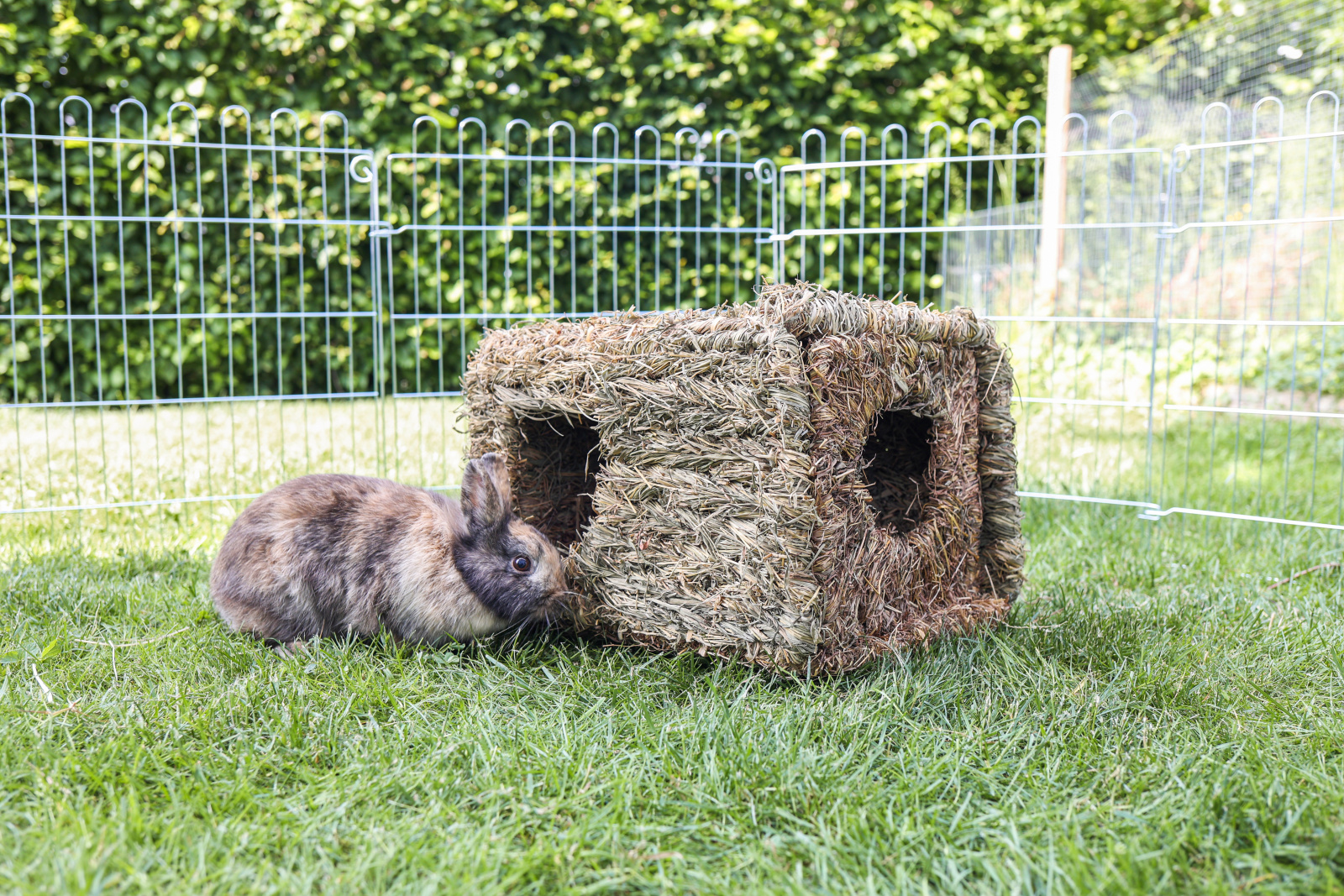 Kerbl Pet Grass House XL casa fieno roditori XL conigli