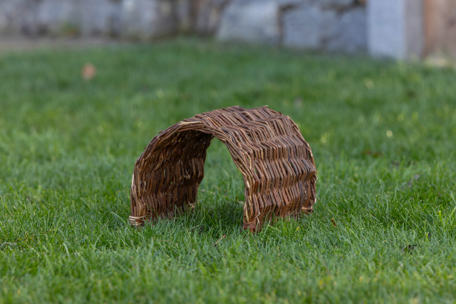 Kerbl Pet Grazing Tunnel tunnel per roditori in salice naturale