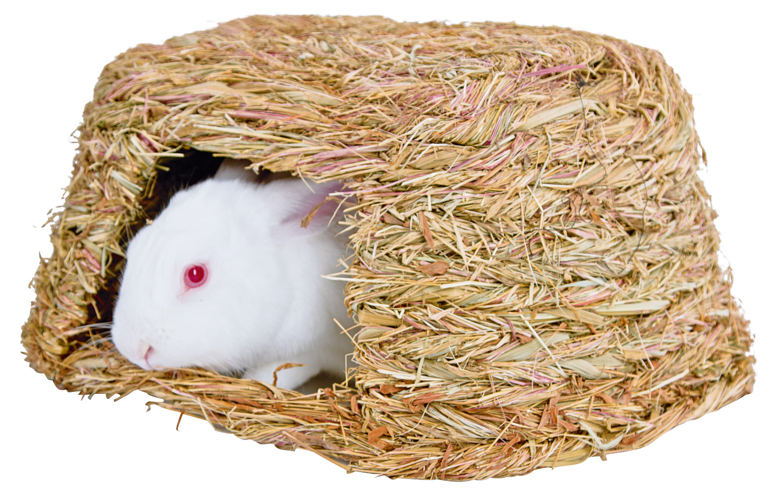 Kerbl Pet Grass House casetta fieno erba intrecciata roditori