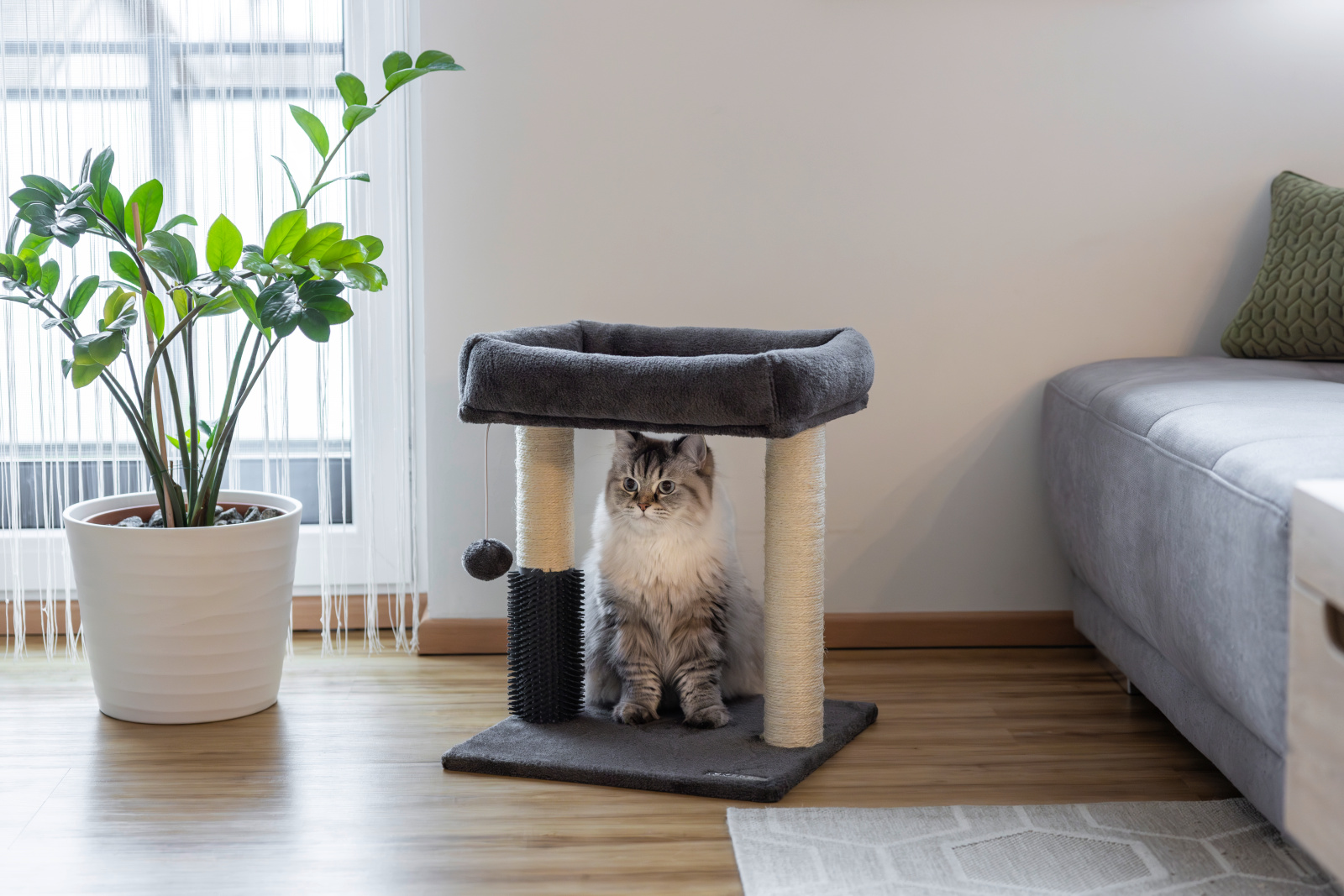 Kerbl Pet Rosi albero tiragraffi gatto con cuccia e pallina
