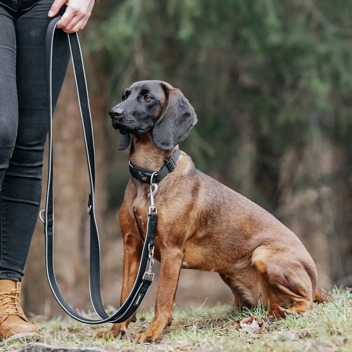 Rudelkönig Hundehalsband Paola collare cane nero riflettente