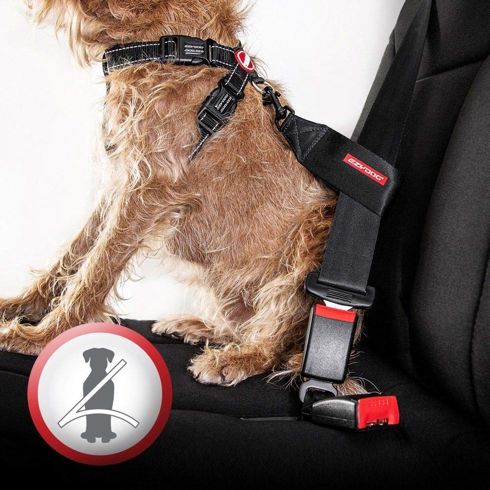 EzyDog Dog Harnesses Chest Plate Pettorina Ergonomica EVA
