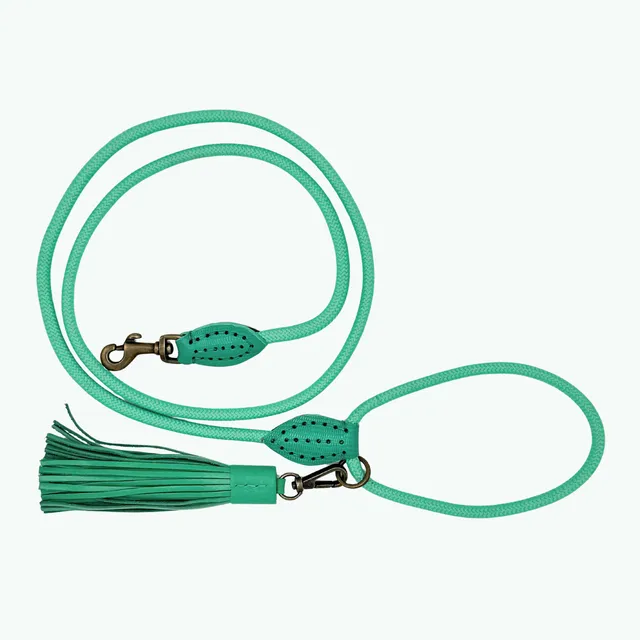 Dog with a Mission Classic Lagoon guinzaglio cane turchese 155 cm S