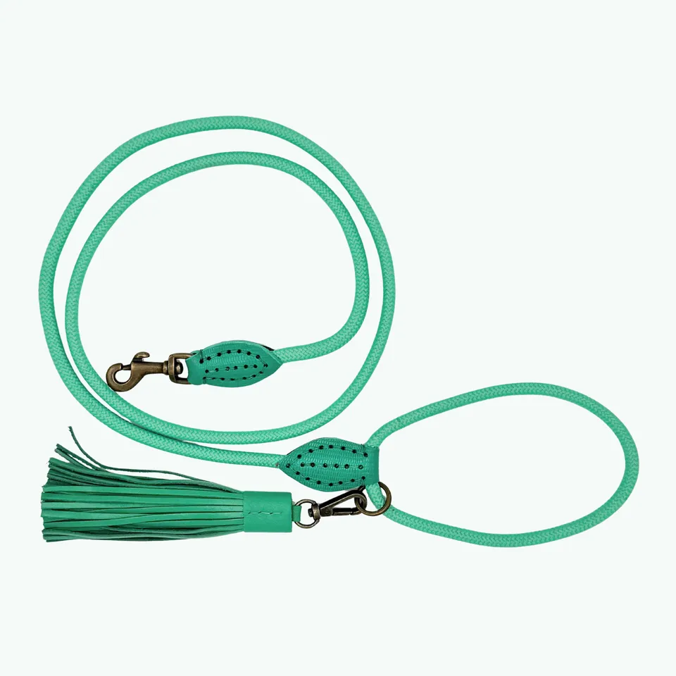 Dog with a Mission Classic Lagoon guinzaglio cane turchese 155 cm S