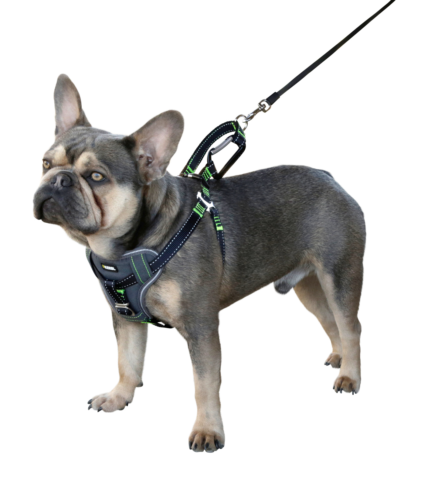Kerbl Car Safety Harness pettorina auto cane nylon imbottita