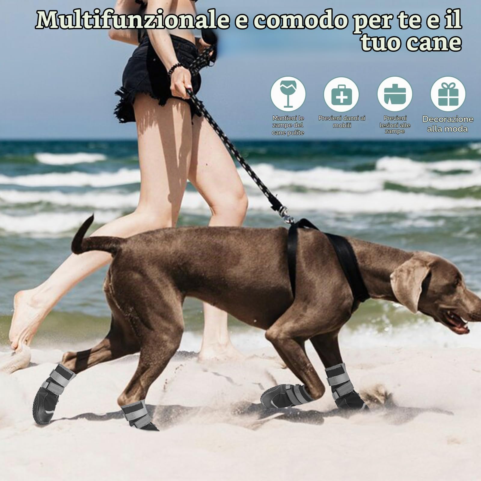 OHCOZZY Scarpette Cane L Nere Impermeabili 4 Pezzi