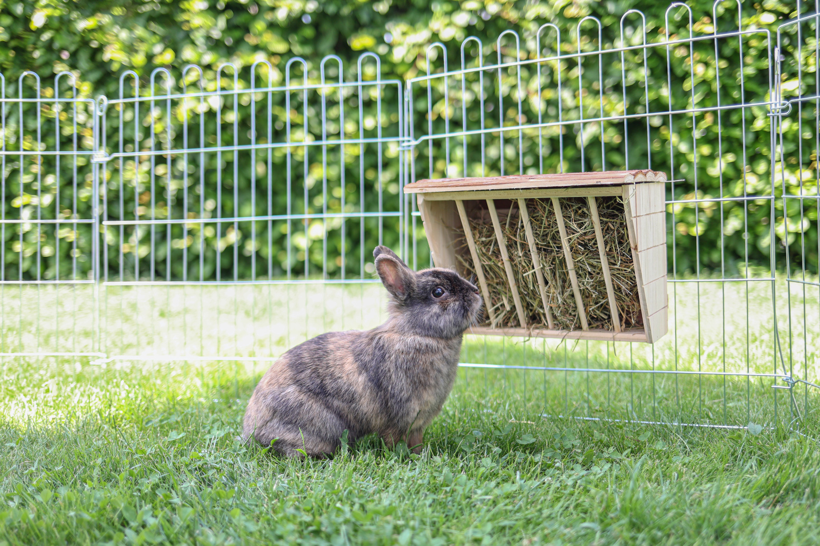 Kerbl Pet Hay Rack XL Nature rastrelliera fieno legno