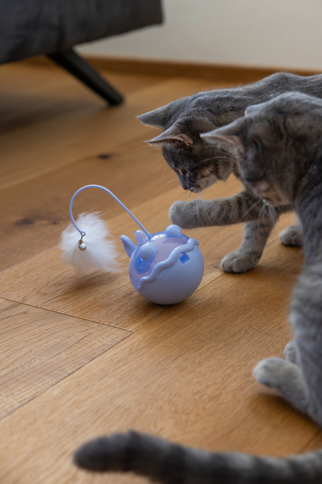 Kerbl Pet Snack Ball Fish palla snack per gatti pesce con sonaglio