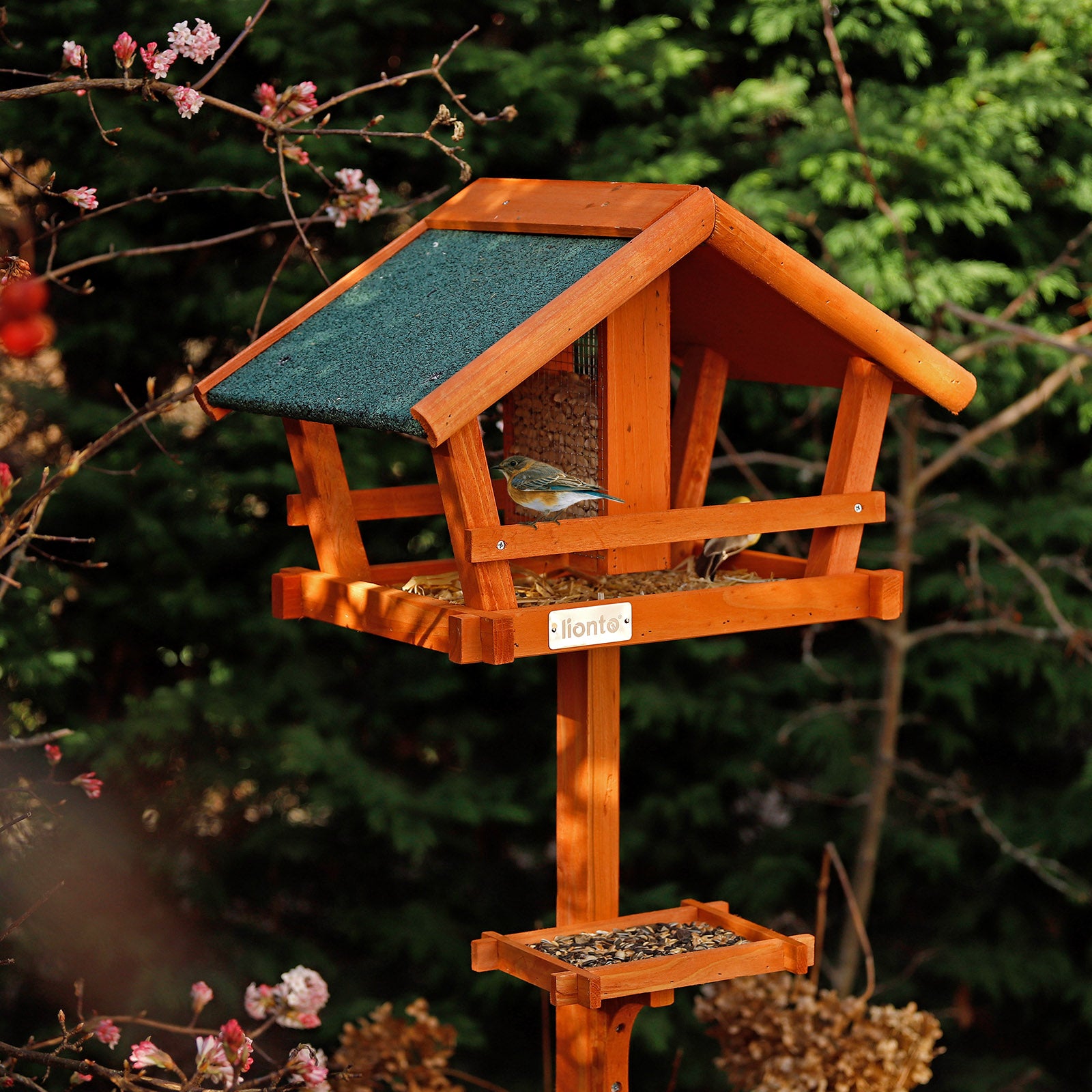 Lionto Vögel Vogelhaus Mangiatoia Uccelli Legno 120 cm