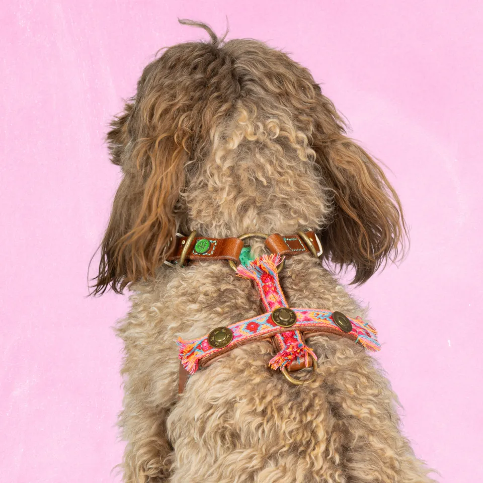 Dog with a Mission Boho Rosa Pettorina Cane XS Rosa 35,5-44cm