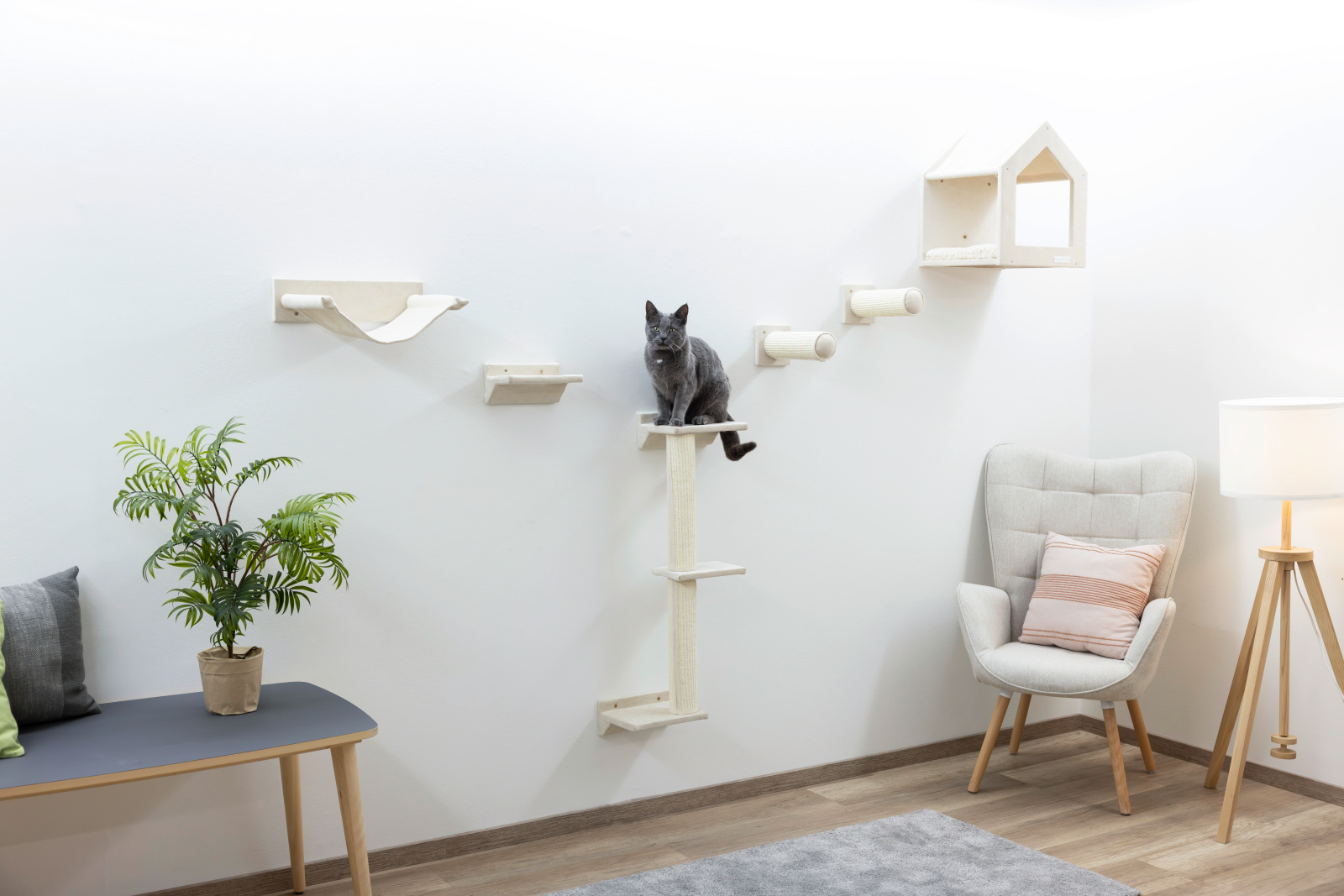 Kerbl Pet Monte Falco palestra parete gatto 10 pezzi