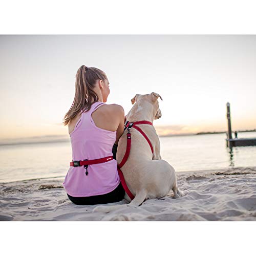 EzyDog Road Runner guinzaglio corsa cane mani libere nero