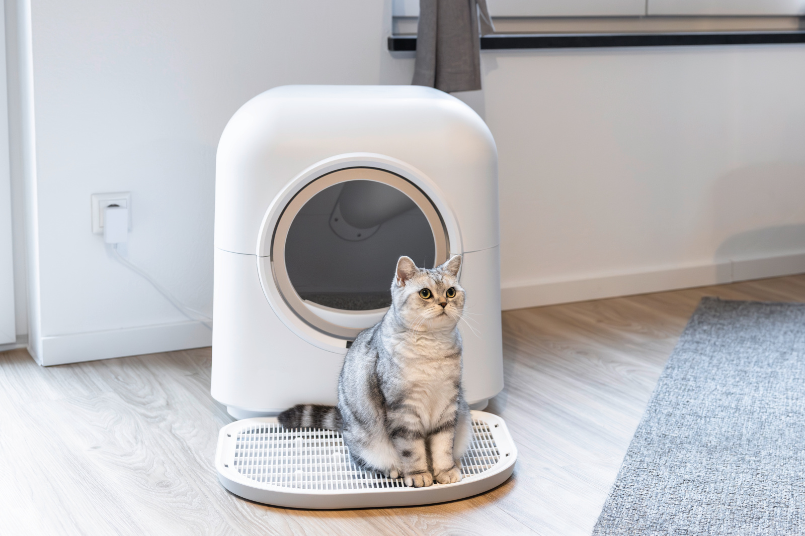 Kerbl Pet Smart Cat Litter Box lettiera autopulente app 6 L