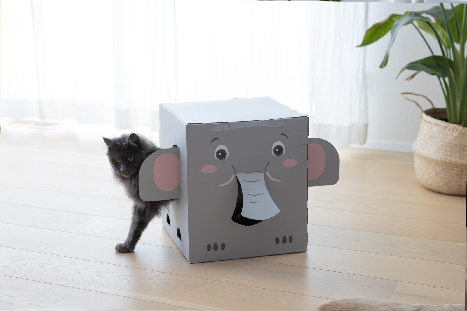 Kerbl Cat Scratch Elefant tiragraffi cartone casetta gatto leggera