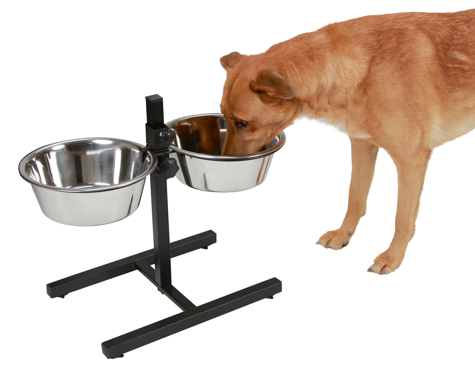 Kerbl Pet Feeding Bar ciotole cane rialzate acciaio