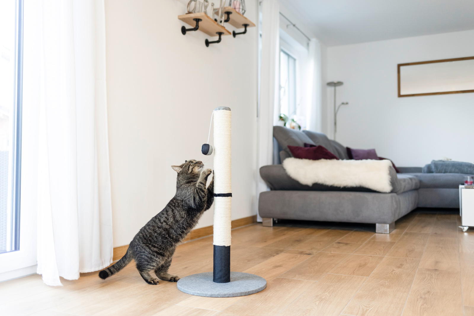 Kerbl Pet Opal Pro tiragraffi gatto sisal 80 cm con pallina