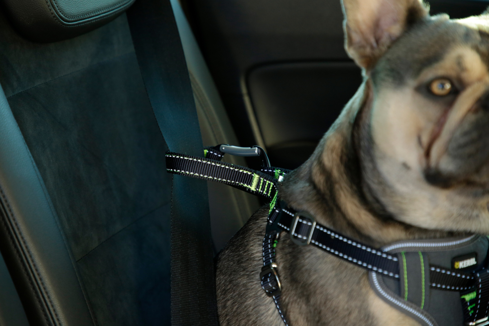 Kerbl Car Safety Harness pettorina auto cane nylon imbottita