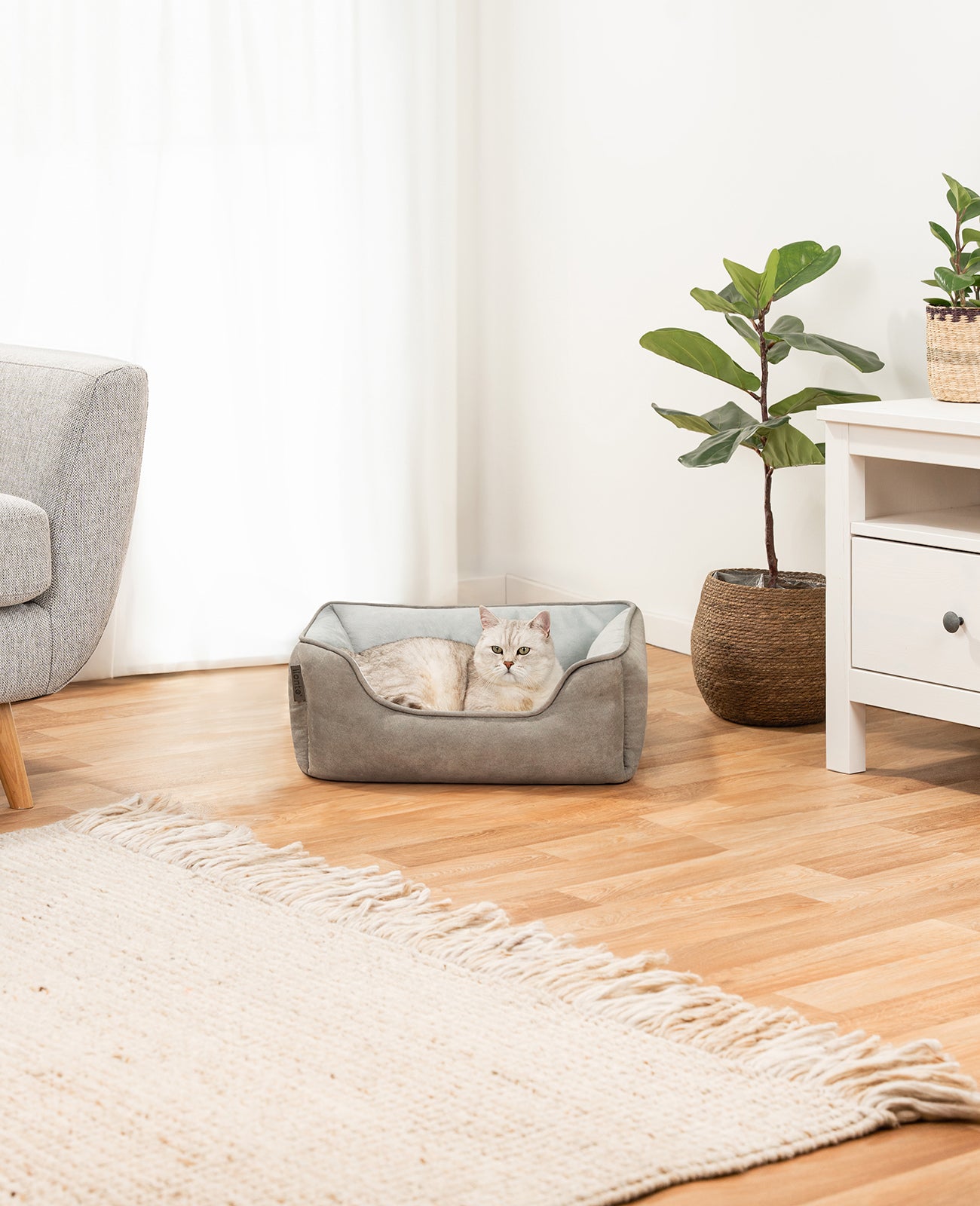 Lionto Katzenbettchen cuccia gatto 80x60 cm marrone reversibile