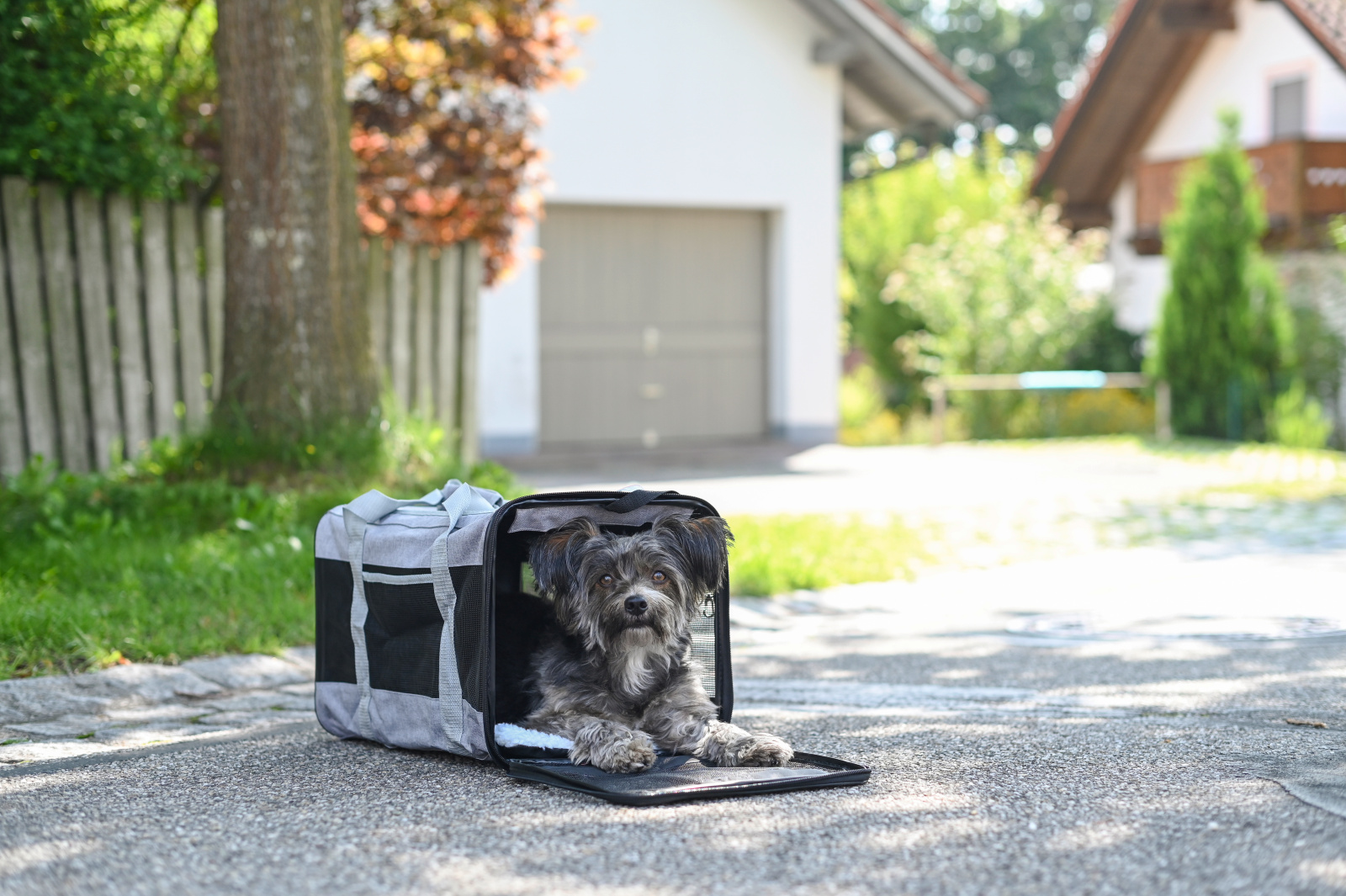 Kerbl Casual Bag borsa trasporto cane rete tracolla base rigida