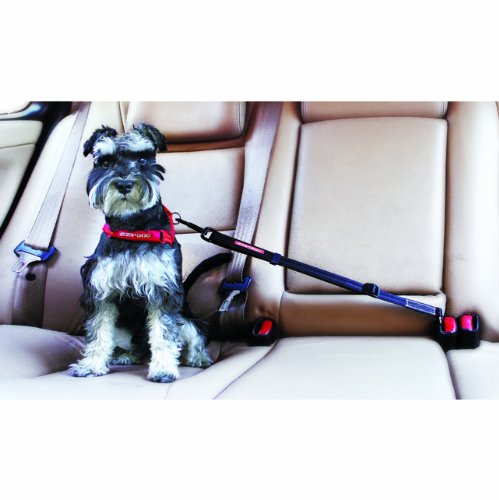 EzyDog Travel cintura sicurezza auto cane 43-65 cm nero