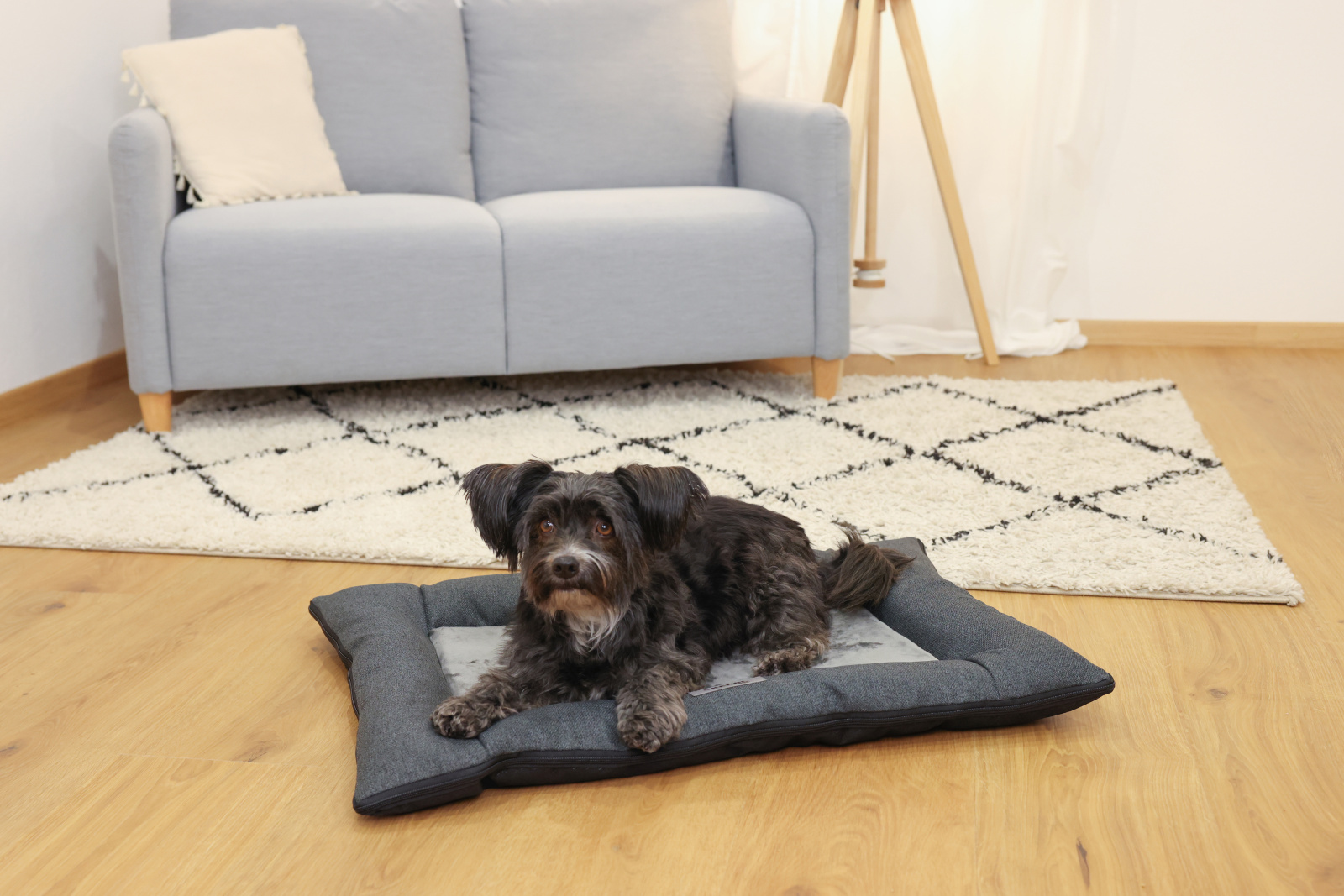 Kerbl Pet Platin Ortho cuscino ortopedico cane memory