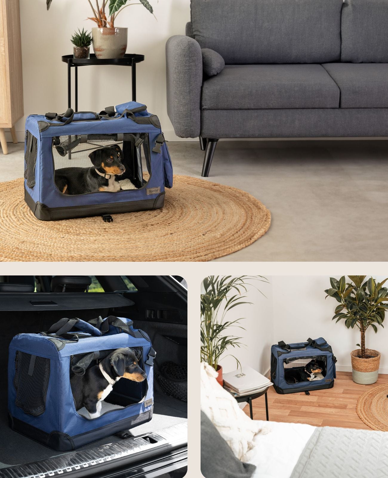 Lionto Hundetransportboxen Trasportino Pieghevole M Nero 60x42x44
