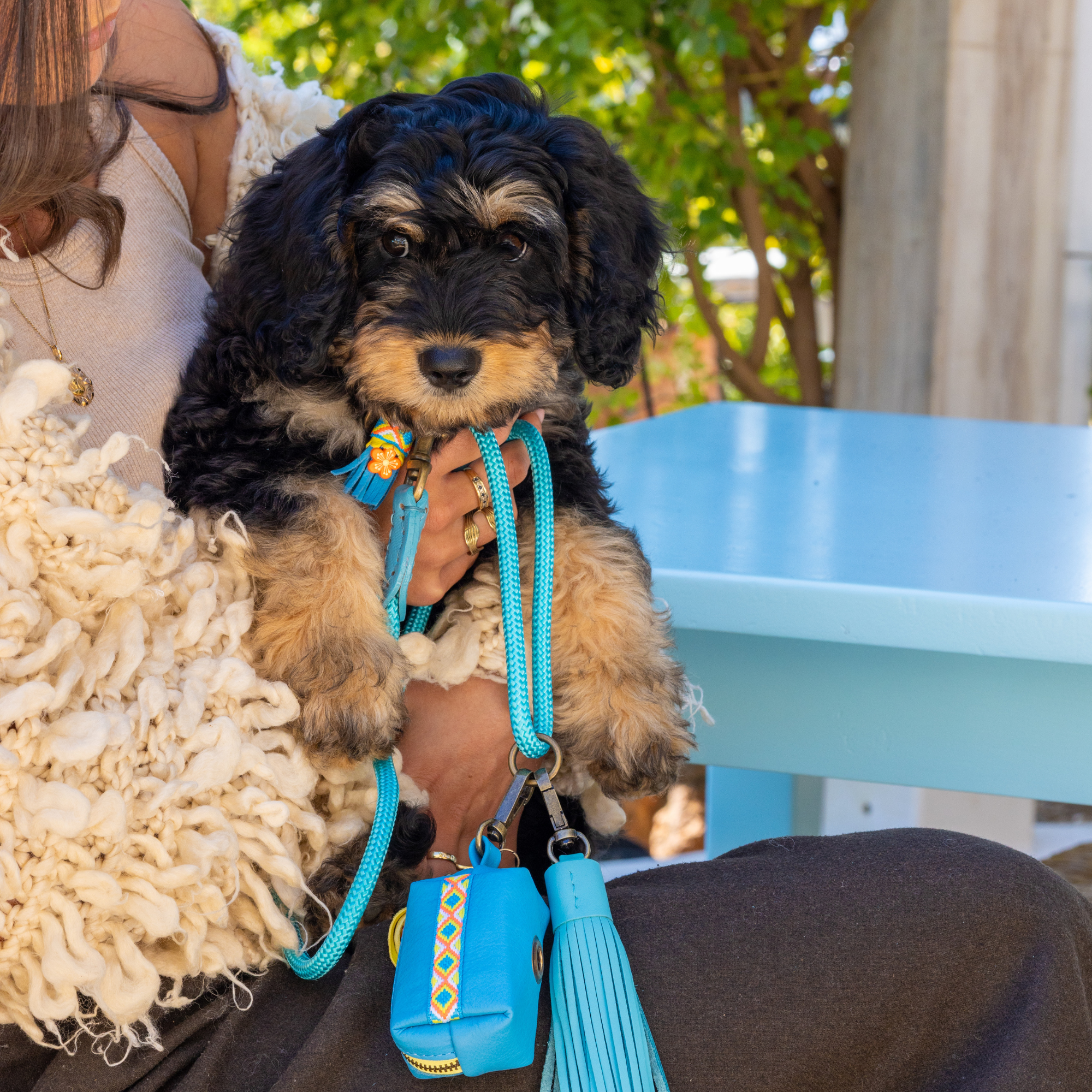 Dog with a Mission Classic Pacific Guinzaglio S Blu 155 cm