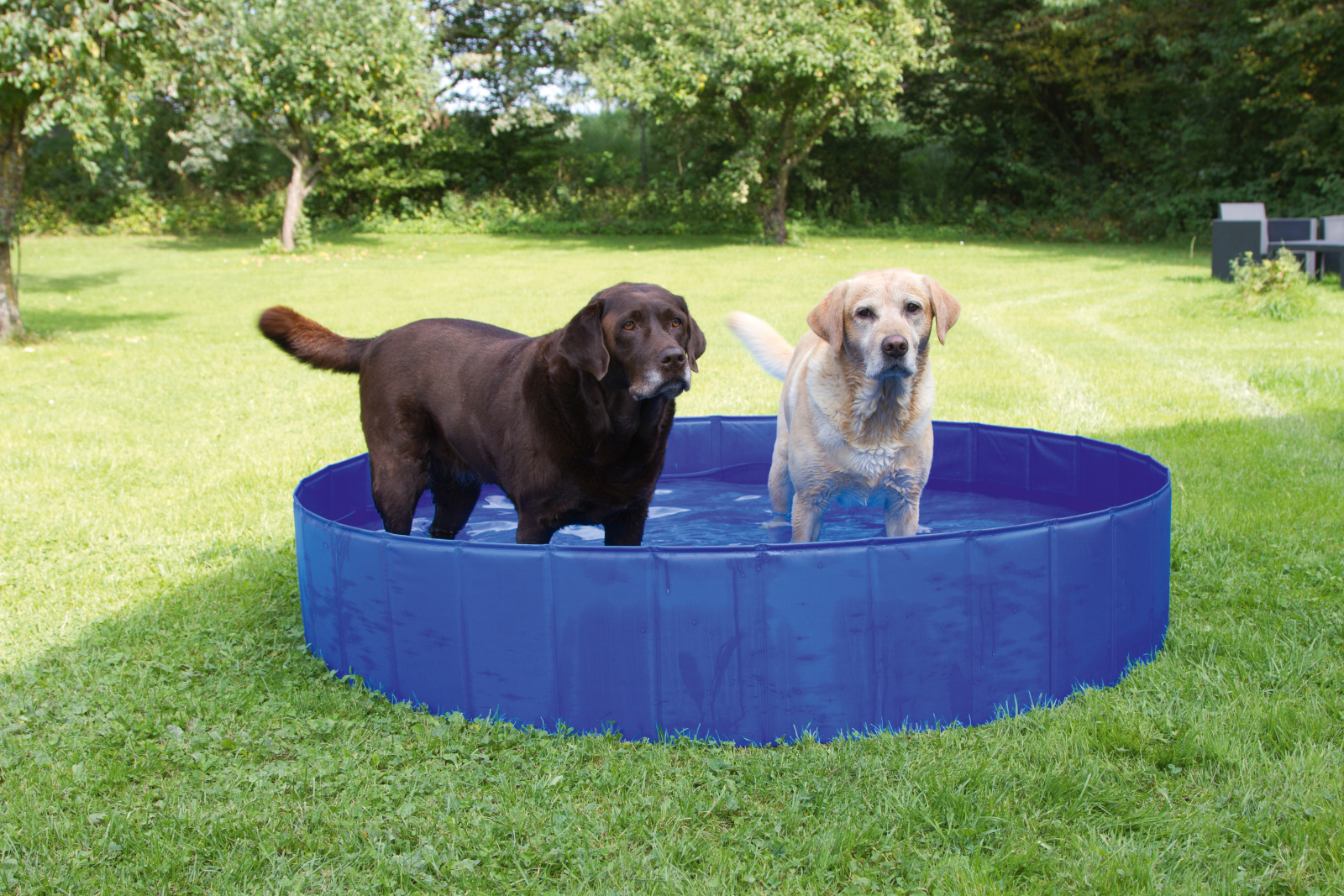 Kerbl Pet Dog Pool piscina cane pieghevole antiscivolo