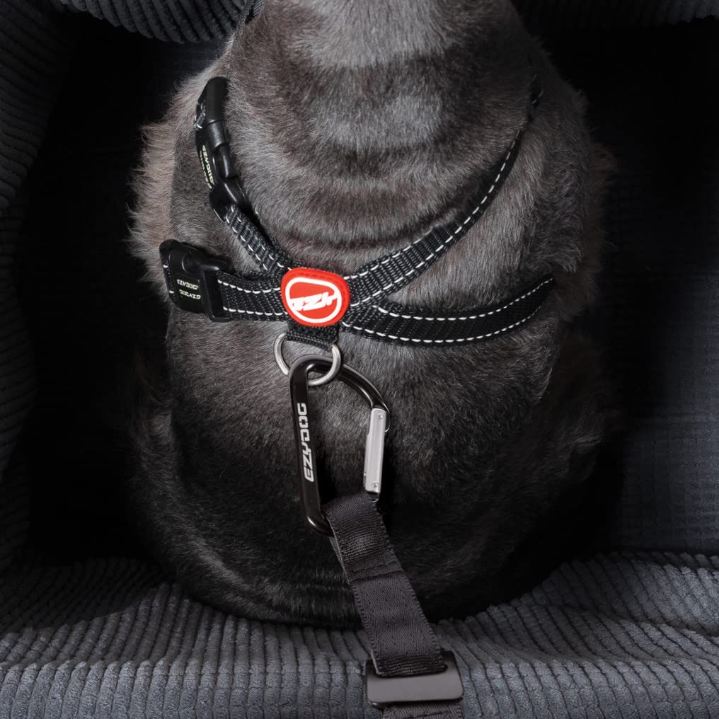 EzyDog Travel Accessories Drive Booster seggiolino auto cane 15 kg