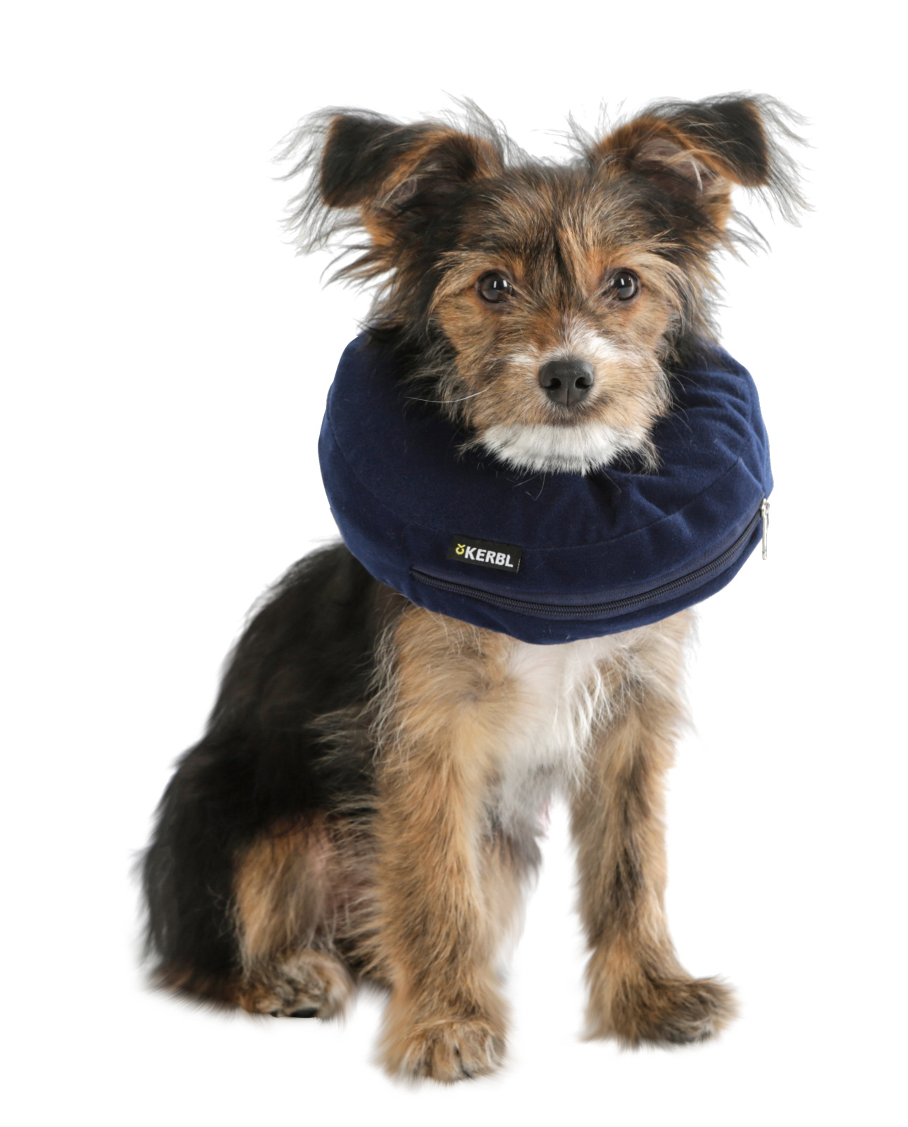 Kerbl Dog Care collare postoperatorio gonfiabile per cani