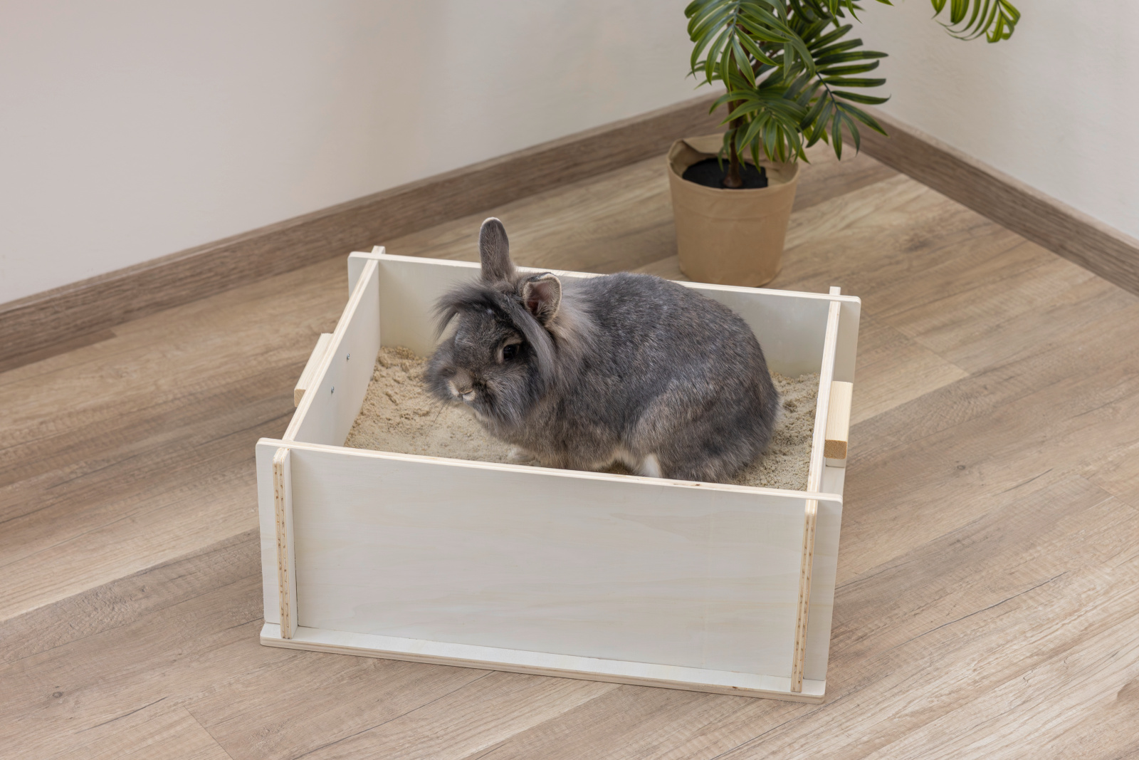 Kerbl Pet Digging Box cassetta scavare conigli legno