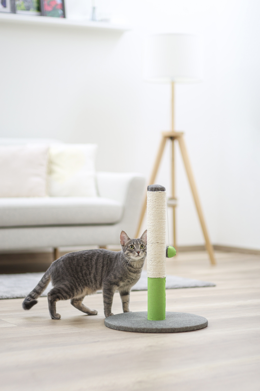 Kerbl Pet Opal Basic tiragraffi gatto sisal base 37 cm con pallina