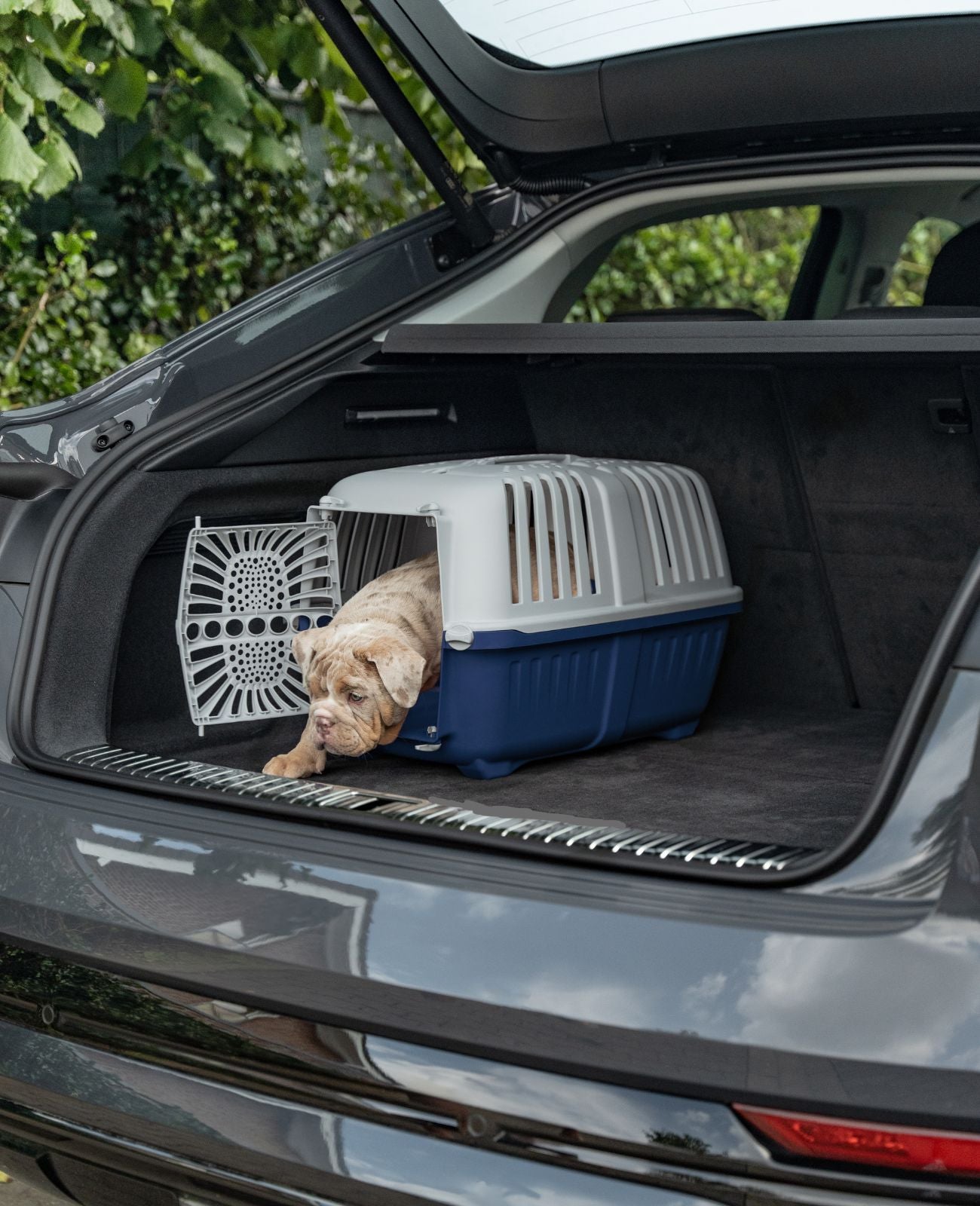 Lionto Trasportino 55x36x36 cm Box Cani Gatti Antracite