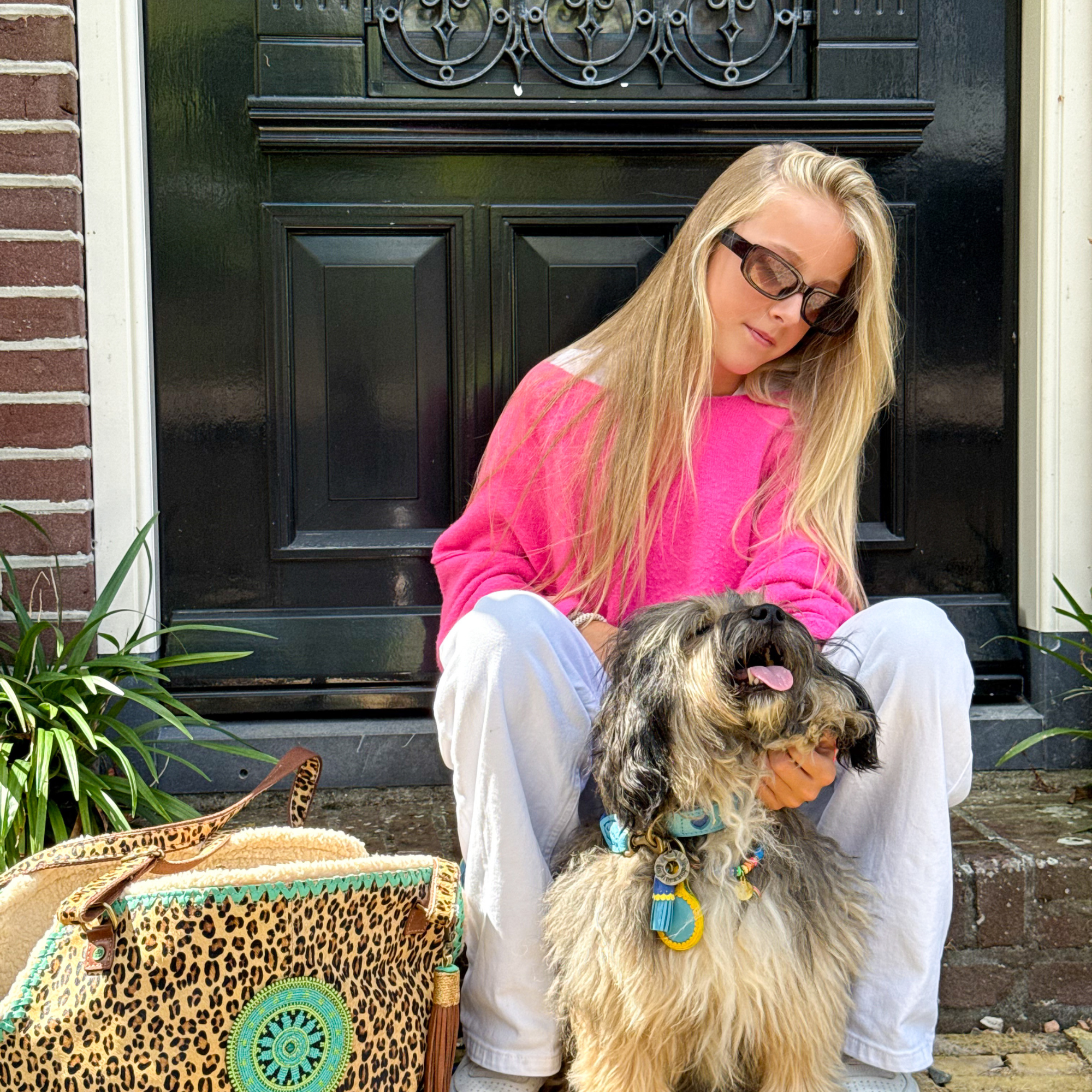Dog with a Mission Leopard Lily Borsa Cane Pelle 8 Kg Maculata