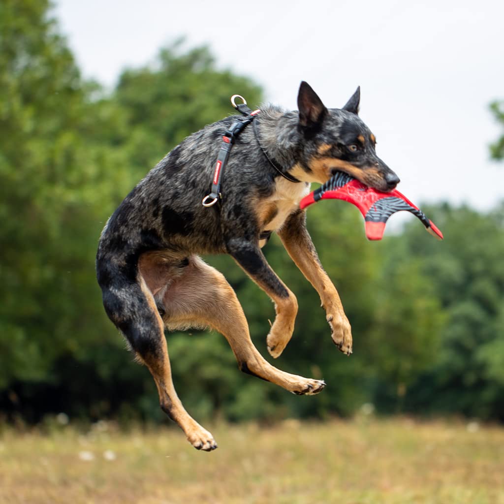 EzyDog Crosscheck Pettorina Anti-Traino Cane S Blu 38-52cm