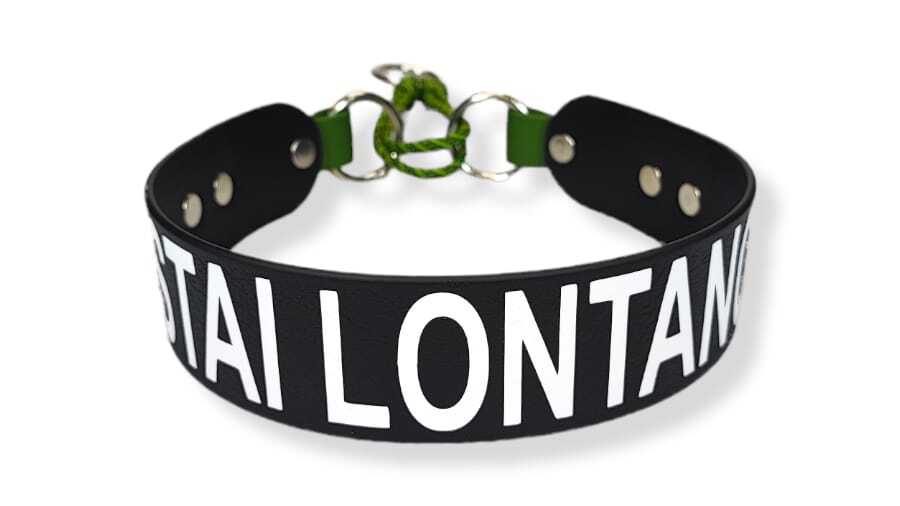 Toscani Waterproof Collare Cane Personalizzato con Nome