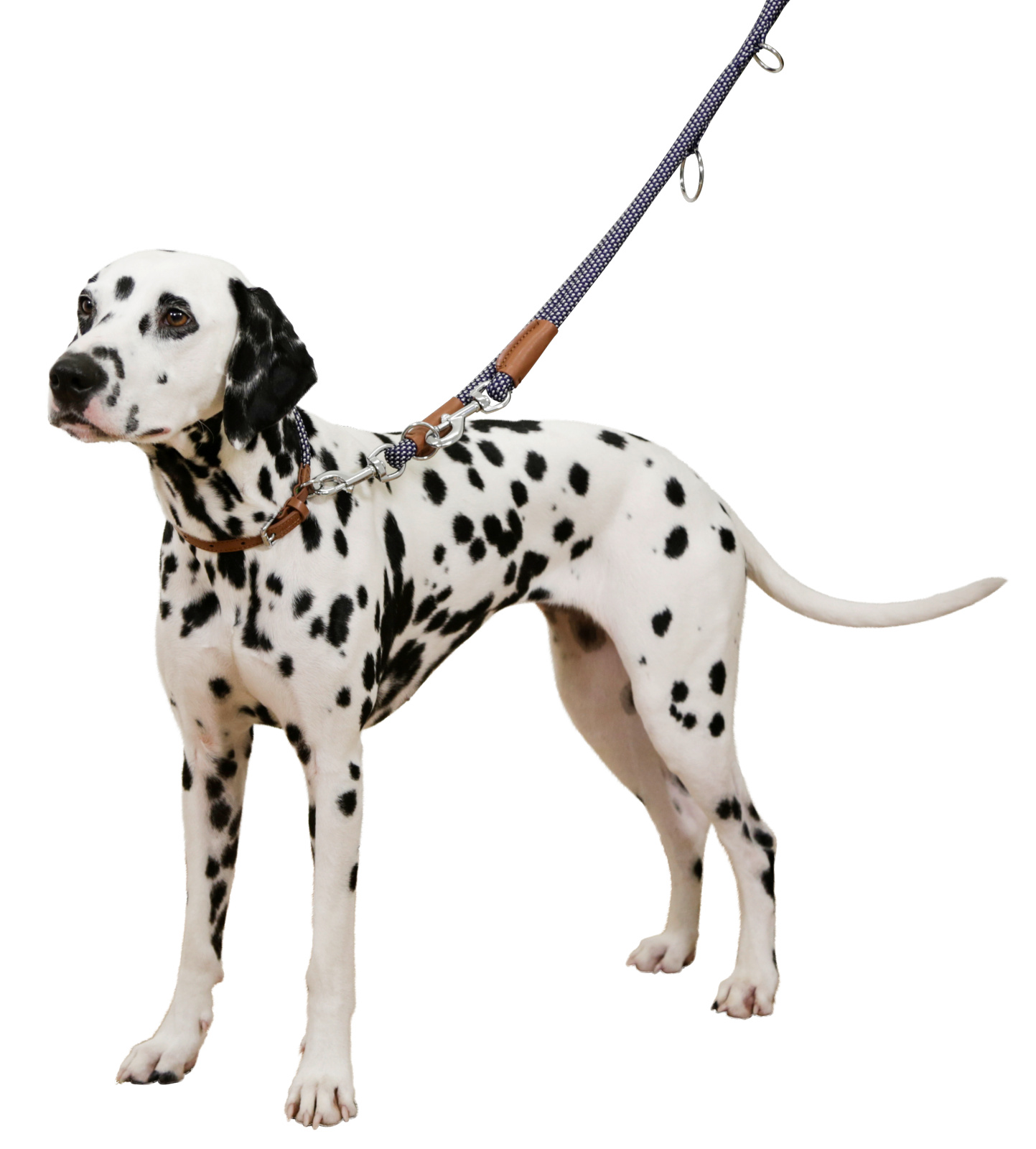 Kerbl Pet Phoenix guinzaglio cane tondo ecopelle