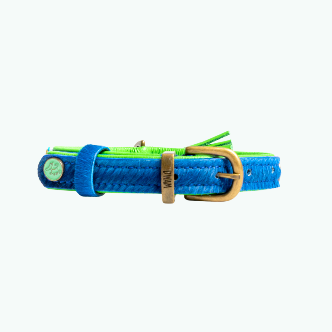 Dog with a Mission Zula XS collare cane pelliccia blu verde