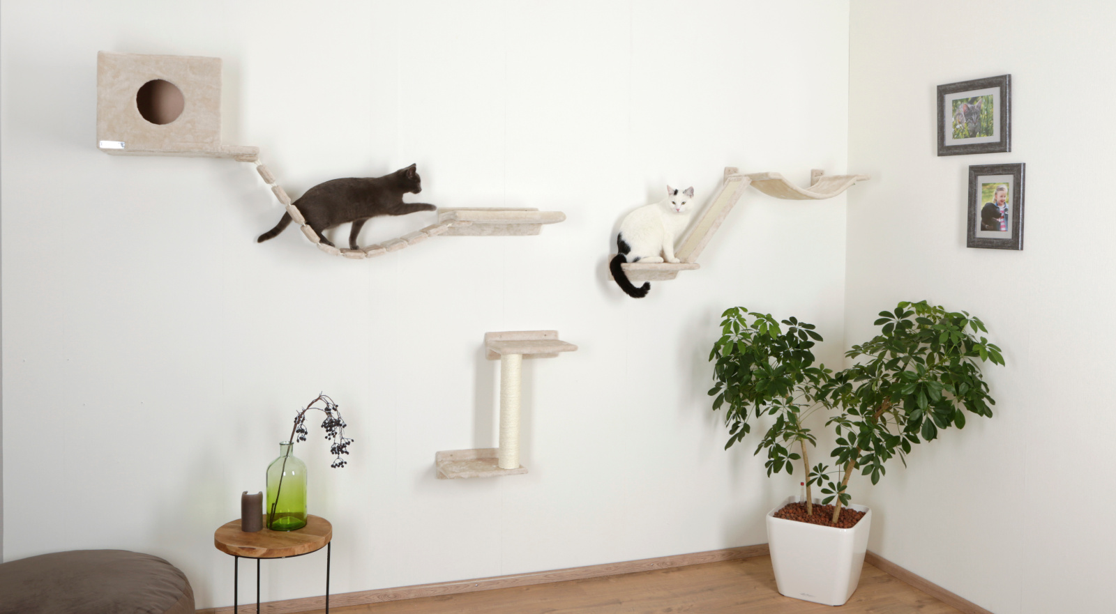 Kerbl Cat Scratch Mount Everest parete arrampicata legno 6 elementi