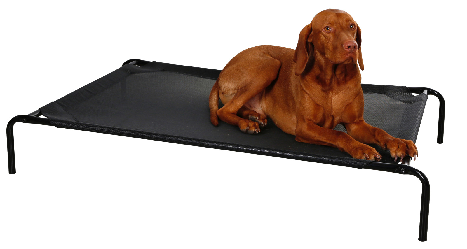 Kerbl Pet Vacation cuccia cane rialzata da esterno impermeabile