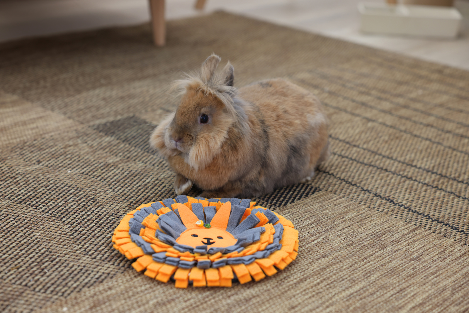 Kerbl Pet Sniff Rug tappeto olfattivo rotondo per roditori