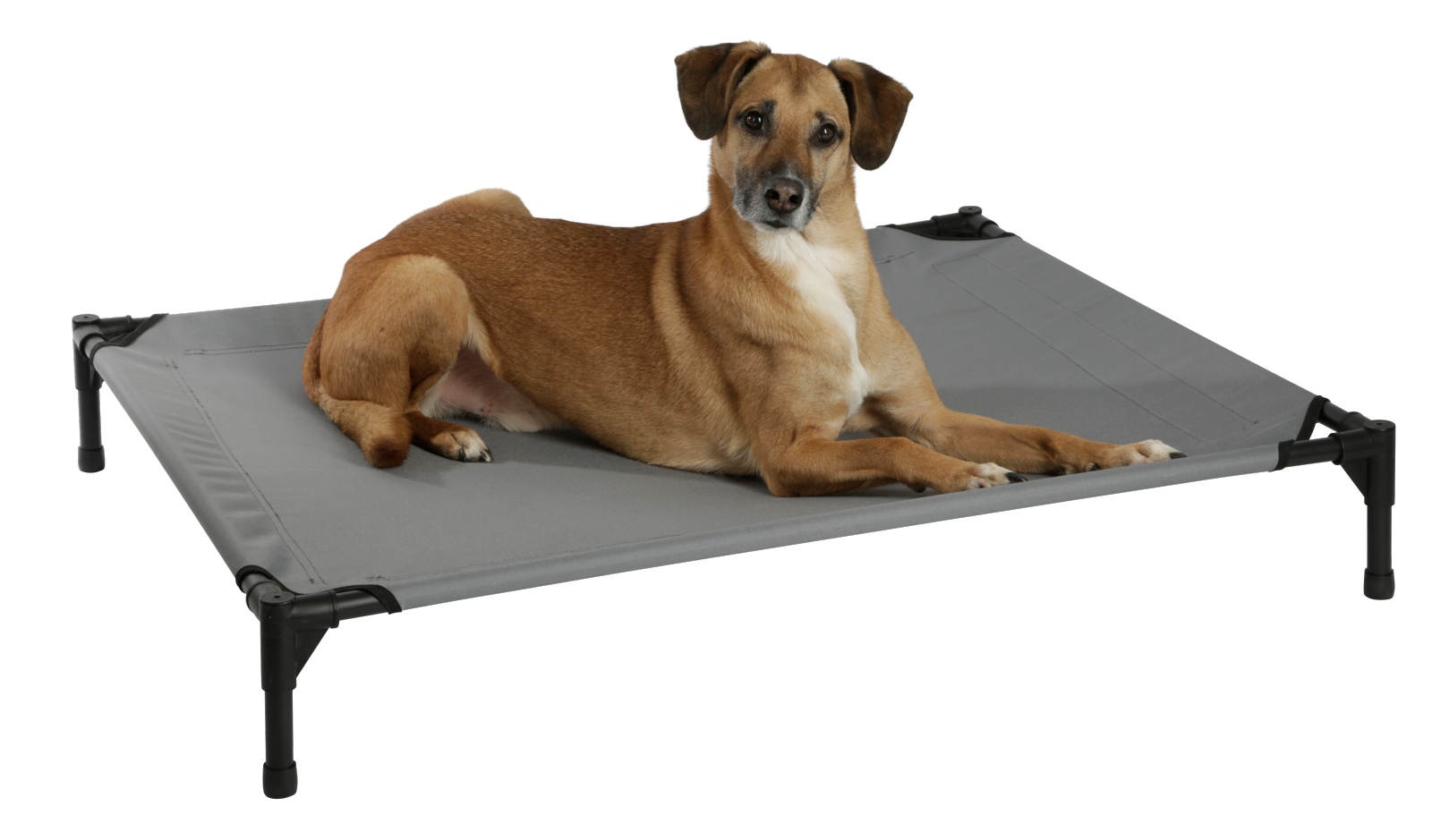 Kerbl Pet Vacation Top lettino rialzato cane con tettuccio