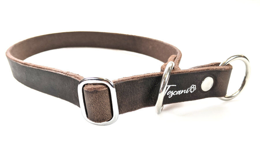 Toscani Cuoio Collare Cane Taglia Media Pelle 20mm Artigianale