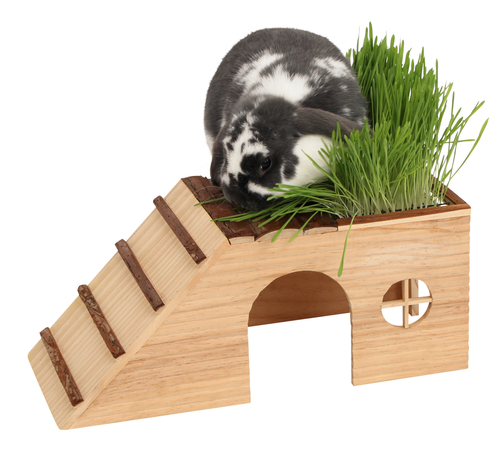 Kerbl Pet Rodent House casetta legno roditori con rampa