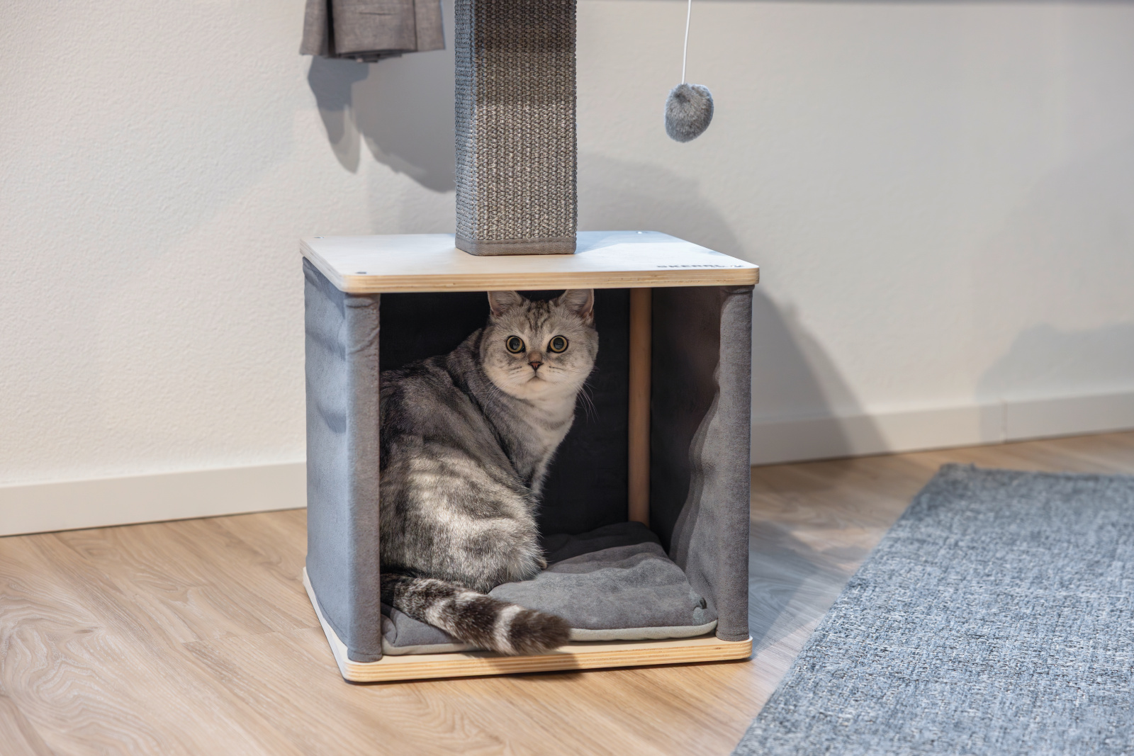 Kerbl Cat Scratch Noah II Tiragraffi Gatto Cuccia e Grotta