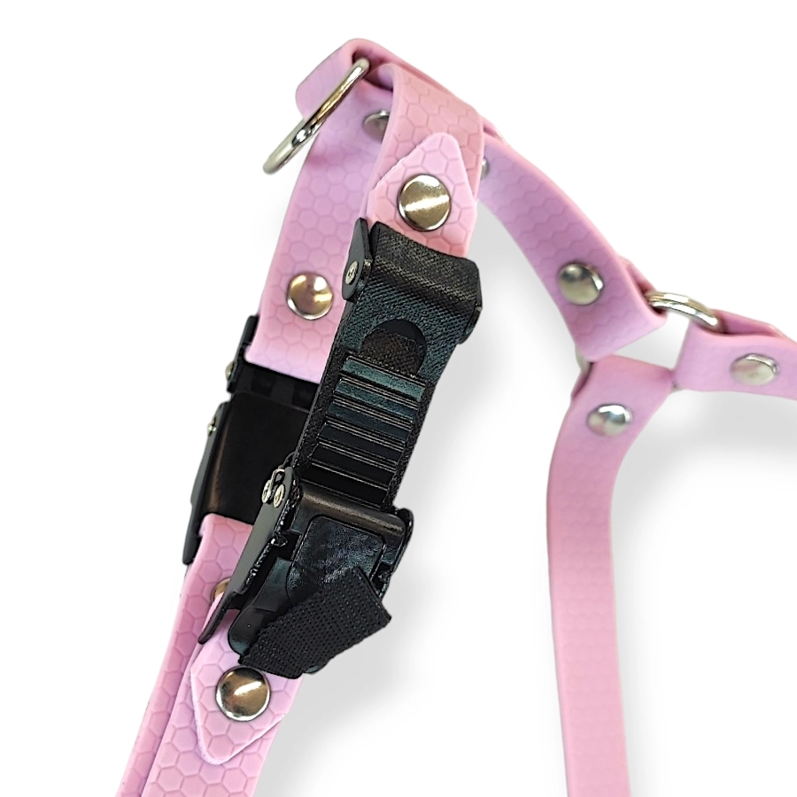 Toscani Waterproof pettorina H cane esagonale 20 mm impermeabile
