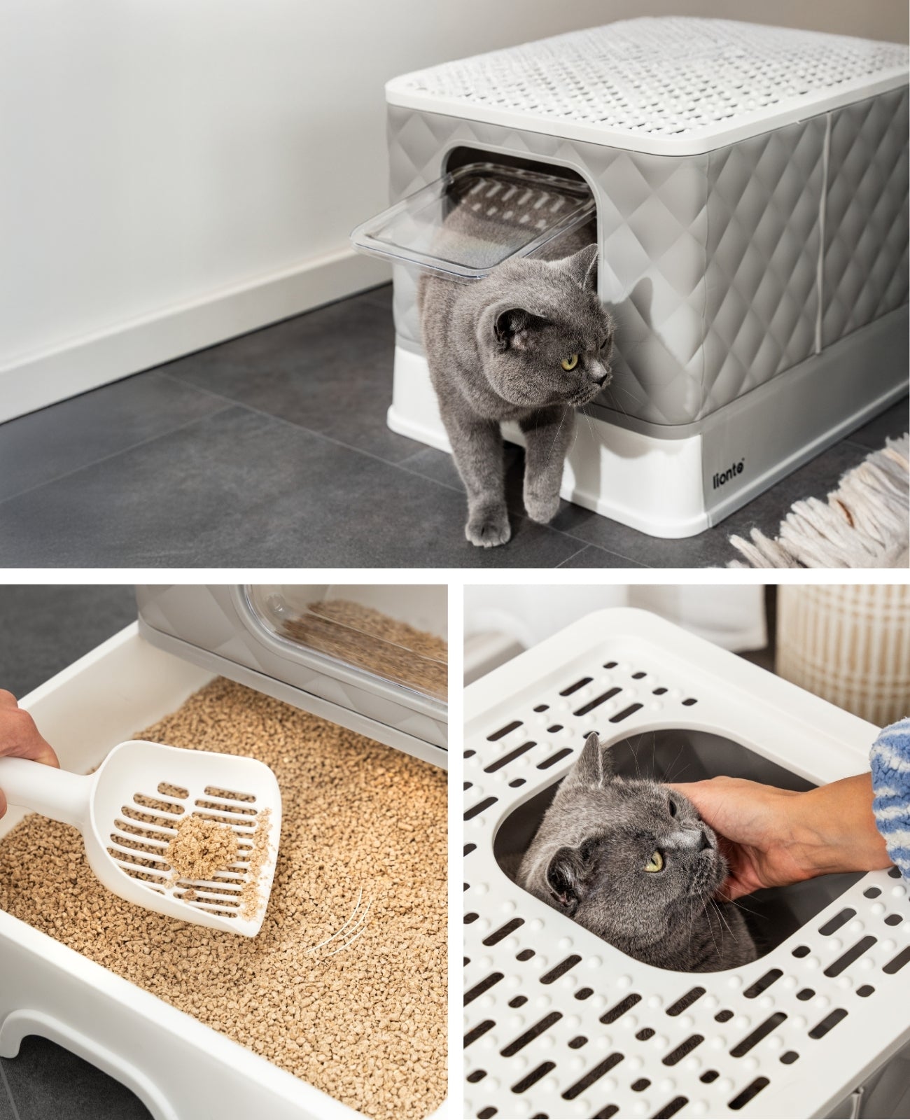 Lionto Katzenpflege lettiera gatto cassetto paletta 50x40,8x37 cm