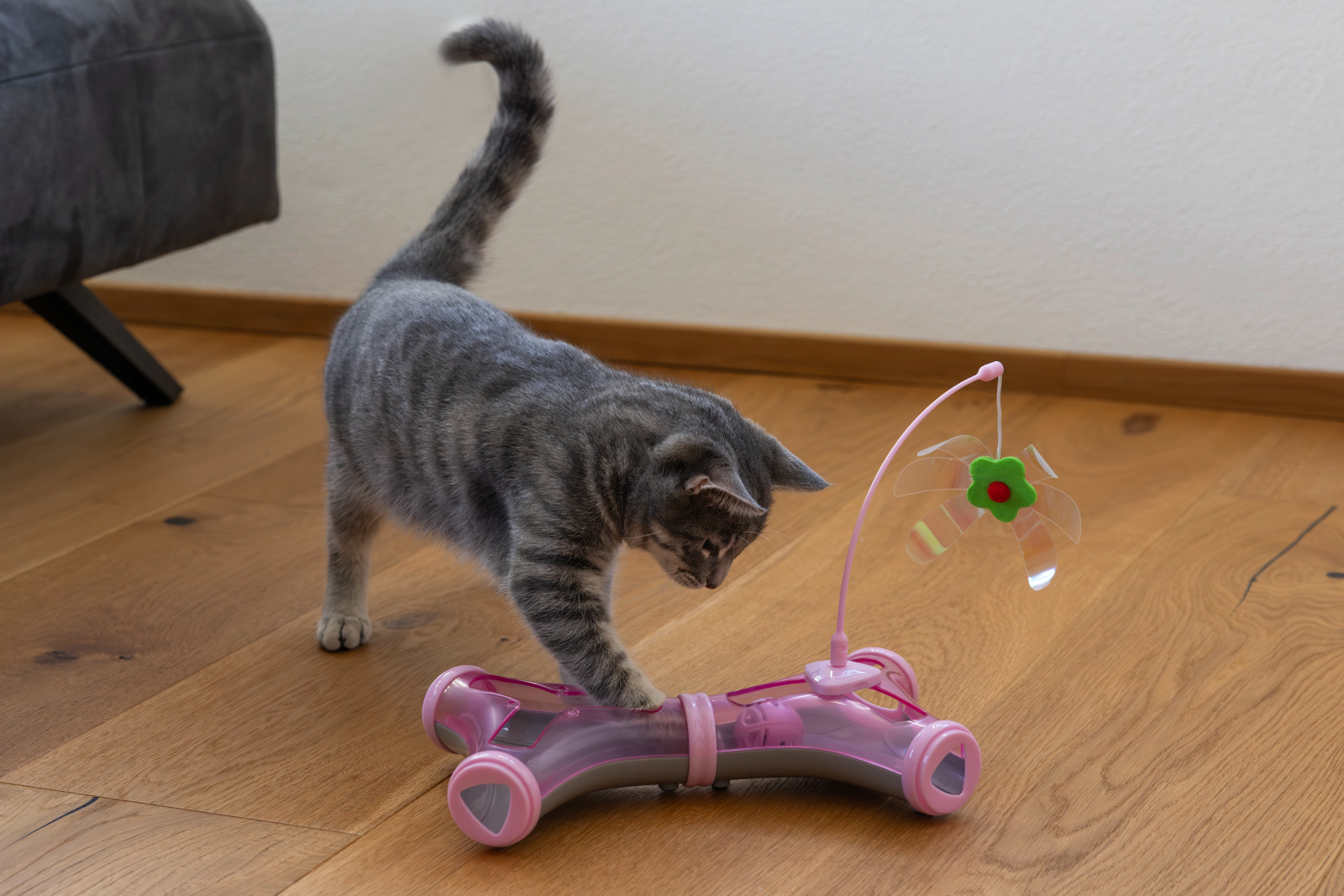 Kerbl Pet Ypsilon giocattolo gatto con palla sonaglio