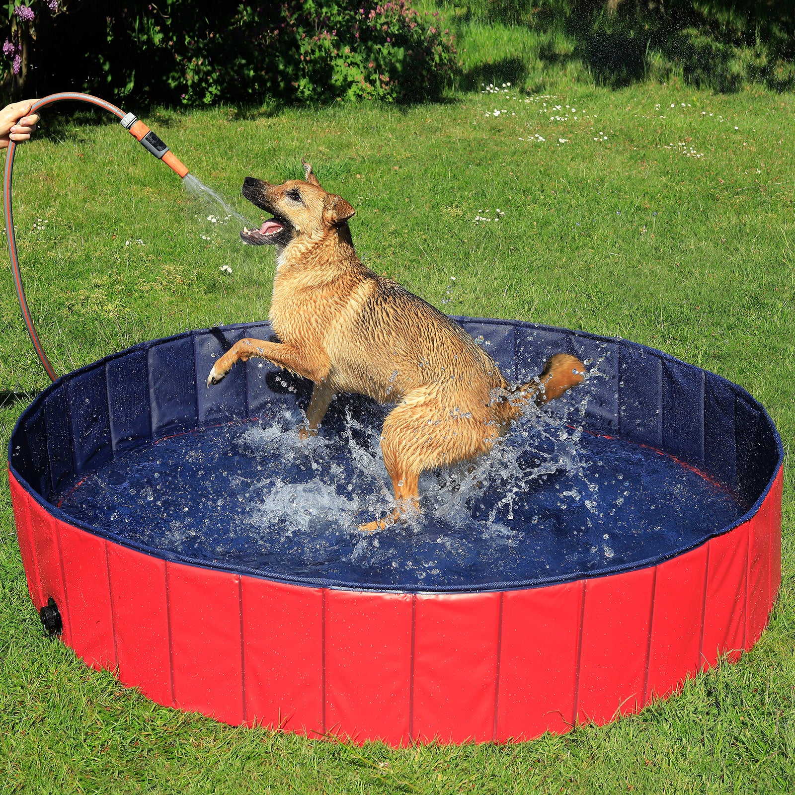 Lionto Piscina Pieghevole Cane M 120x30 cm PVC Antiscivolo
