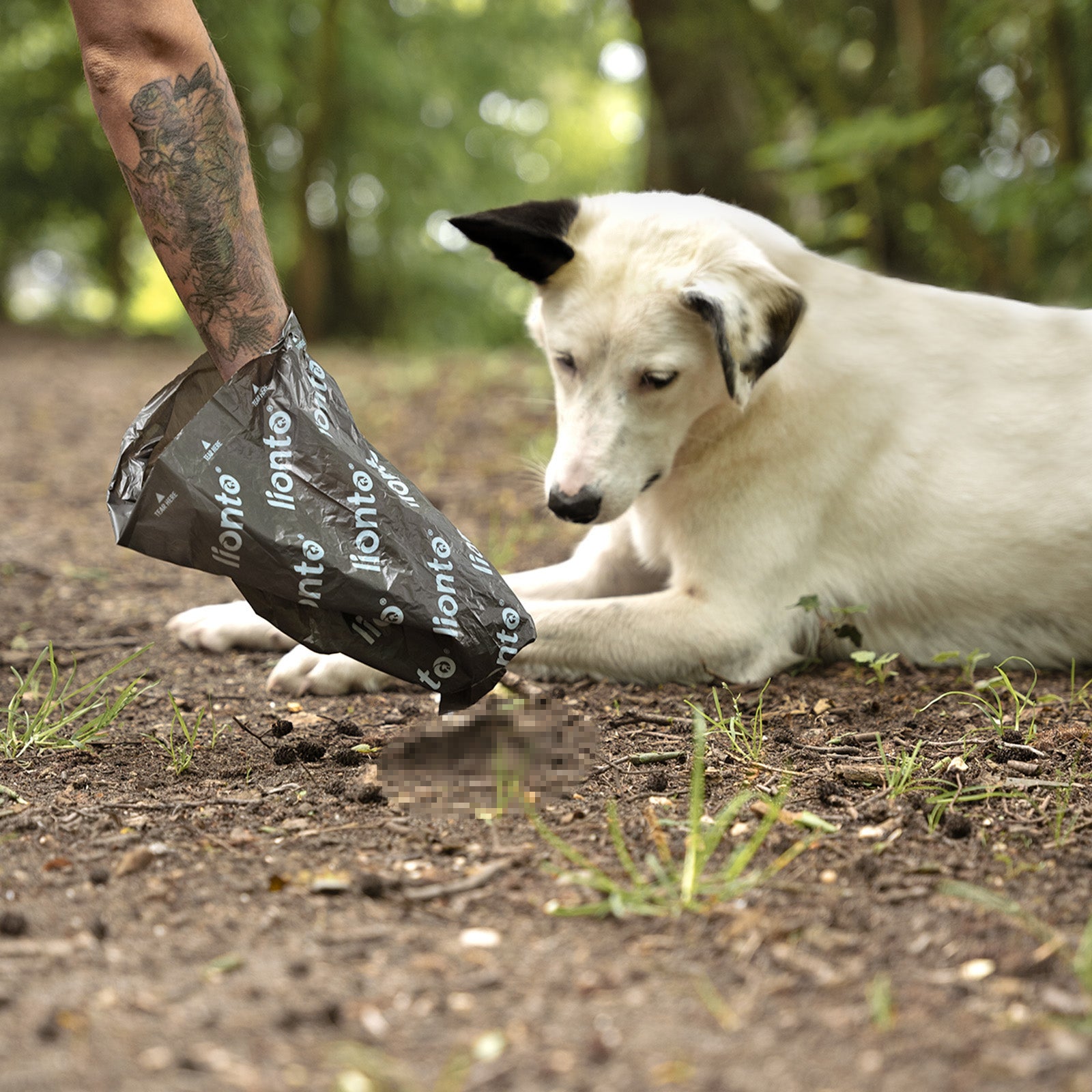 Lionto Hunde-Welpenausstattung sacchetti igienici cane 600 pezzi HDPE